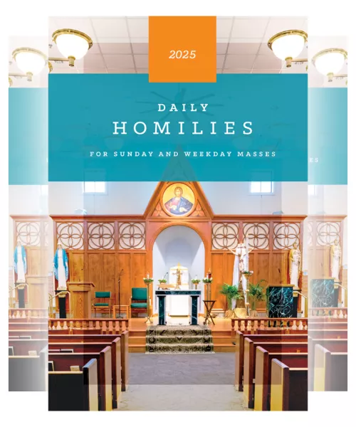 2025 Cover Daily Homilies 